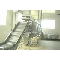 蔬菜速凍生產(chǎn)線