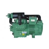 杭州比澤爾20匹-30