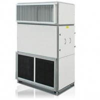 立柜式新風(fēng)機(jī)組