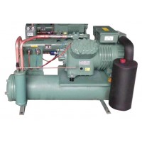 比澤爾20P水冷機(jī)組