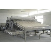 蝦類速凍生產(chǎn)線