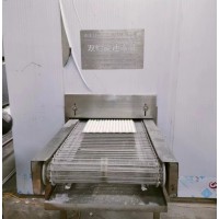 1噸湯圓雙螺旋速凍機(jī)