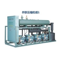 并聯(lián)壓縮機組1