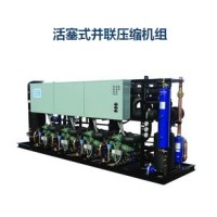 活塞式并聯(lián)壓縮機組