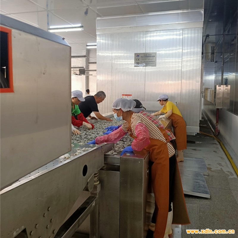 沖擊式網(wǎng)帶速凍機