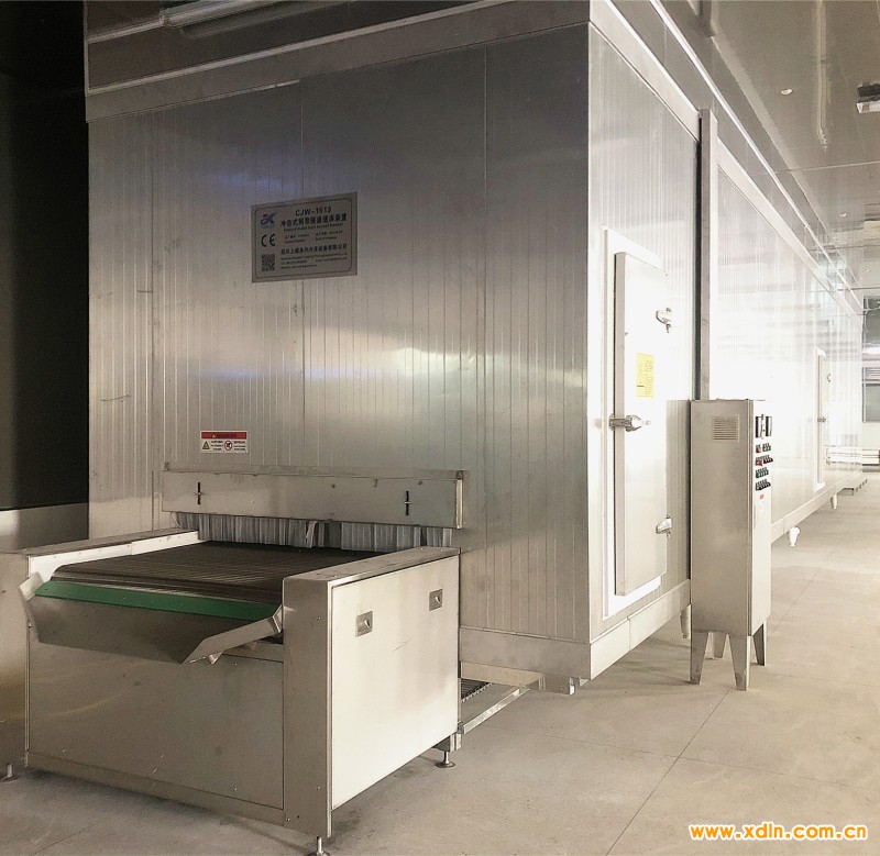 沖擊式網(wǎng)帶速凍機2