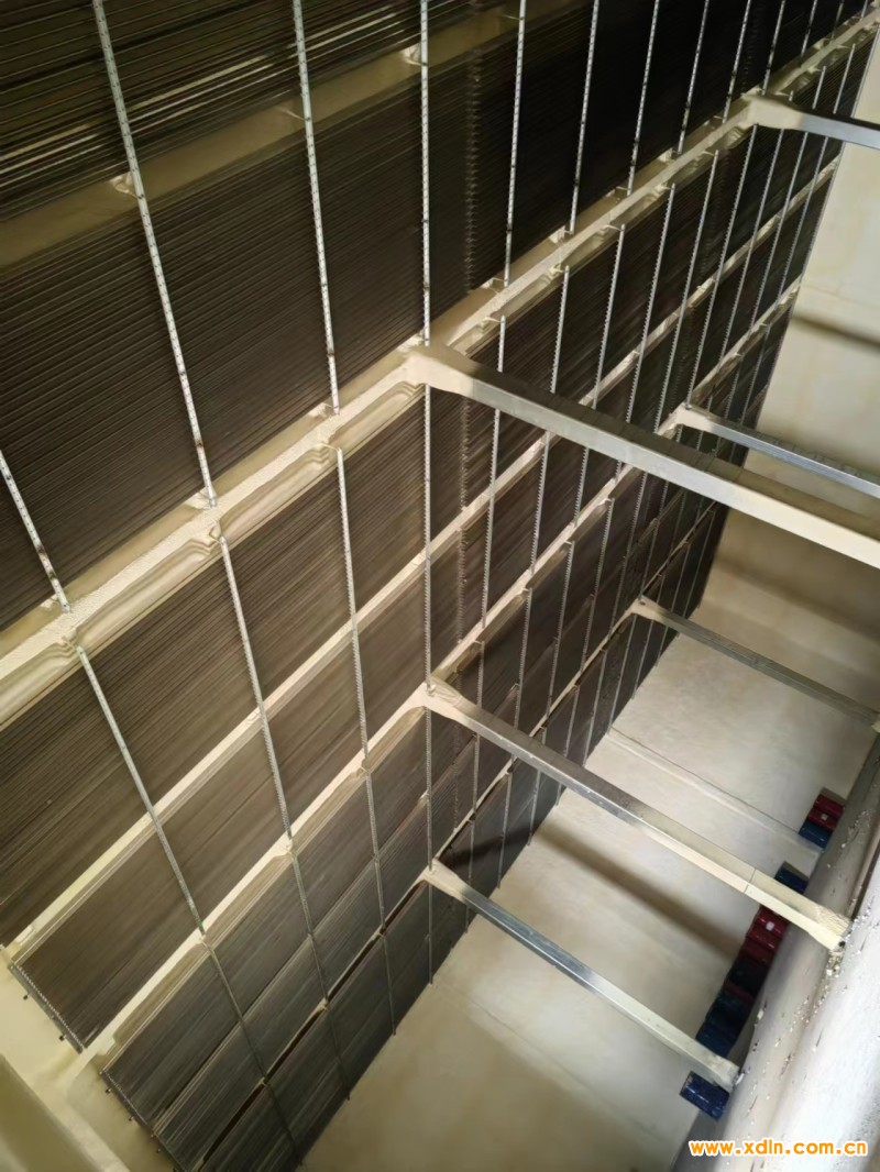 微信圖片_20231212110654