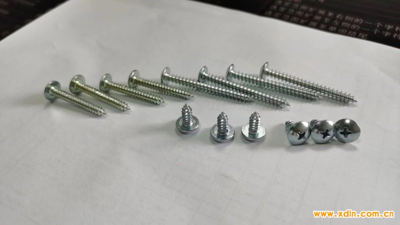 微信圖片_20240621090226