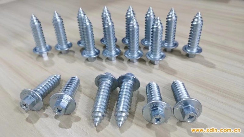 微信圖片_20240621090227