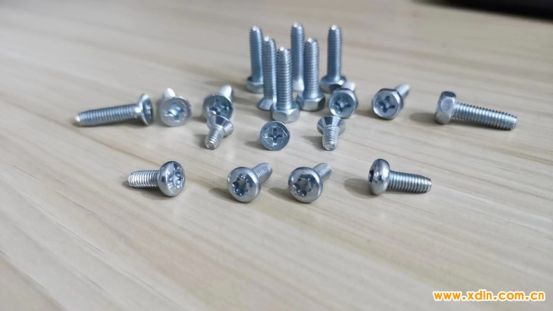 微信圖片_202406210902281