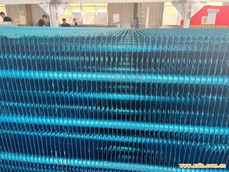 微信圖片_20240613084644