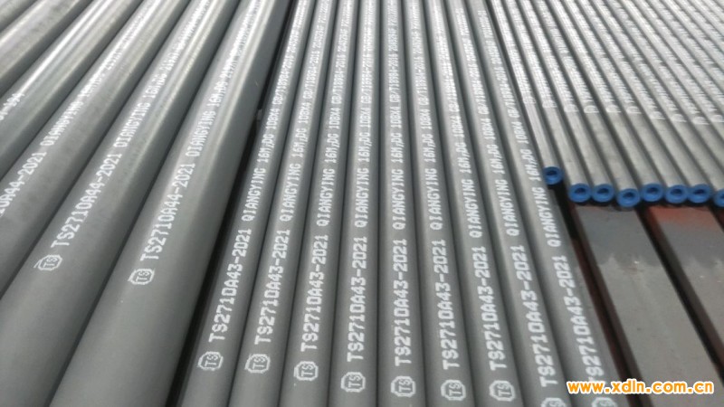 微信圖片_20250226085225