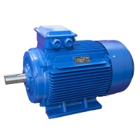 YE5系列三相異步電動(dòng)機(jī)