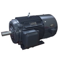 YF2系列變頻調(diào)速專用三相異步電動(dòng)機(jī)