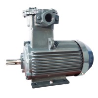 YBX4系列高效率隔爆型二相異步電動(dòng)機(jī)
