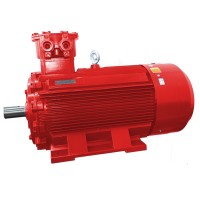 YBX3系列隔爆型三相異步電動(dòng)機(jī)